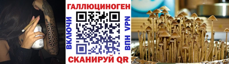 Псилоцибиновые грибы MAGIC MUSHROOMS  Северо-Курильск 